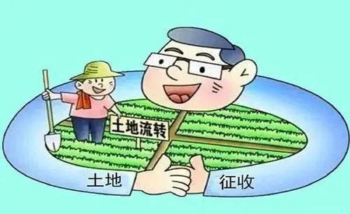 农村纠纷爆料案例最新版,邻里矛盾升级，法律维权之路探析  第2张