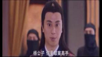纳妾记免费在线观看,揭秘古代豪门恩怨，免费在线观看，尽享传奇人生  第2张