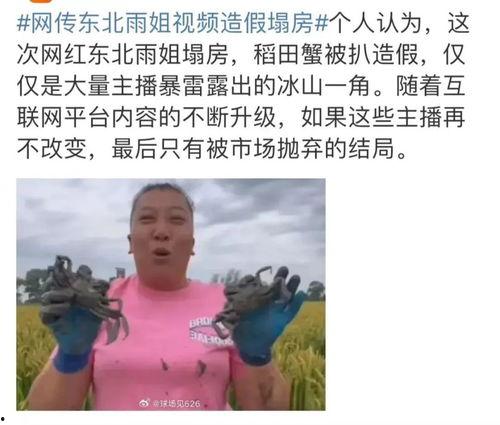 小肥仔被爆料家暴视频,真相与反思