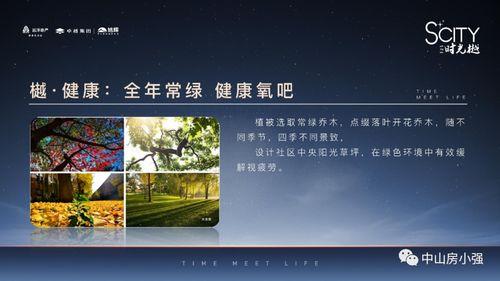 榆树防控中心最新爆料,揭秘疫情背后的真相与挑战  第3张