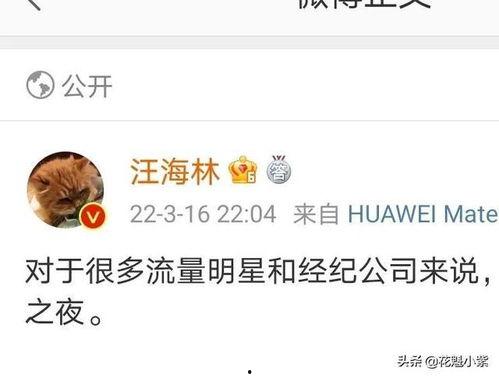 汪海林大爆料娱乐圈,重磅爆料，内幕大公开  第3张