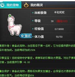 飞车宠物强化最新爆料,实力升级，战力飙升！  第3张