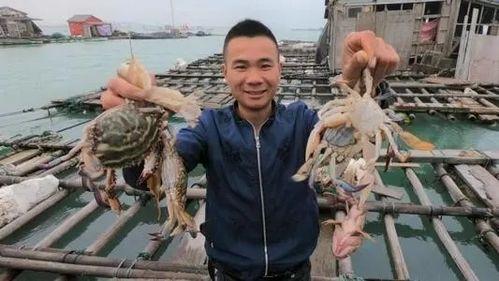 赶海爆料视频,揭秘海洋宝藏的神秘之旅  第2张