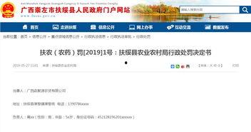 扶绥县最新爆料信息查询,揭秘当地发展新动态与民生焦点