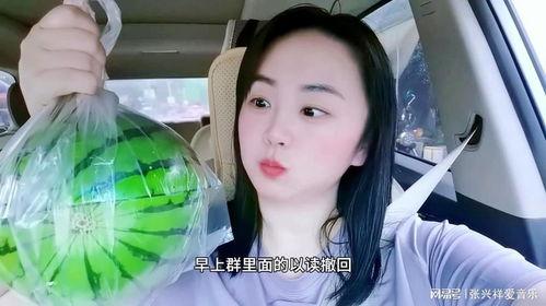 那些吃瓜退网的网红叫什么,揭秘那些消失的网络红人  第3张