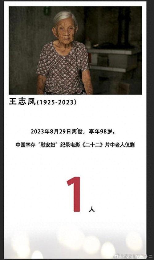 二十二记录片在线观看,二十二纪录片深度解读