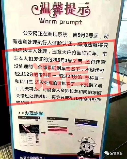 新闻爆料搞笑视频大全免费,免费观看欢乐无限