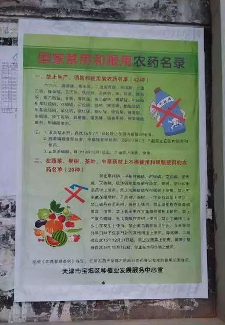 新闻爆料搞笑视频大全免费,免费观看欢乐无限  第2张