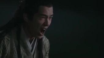 白狼在线观看,在线观看，揭秘神秘狼族的传奇故事  第2张