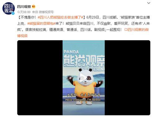 熊猫家族成员爆料视频,独家爆料视频大公开  第2张