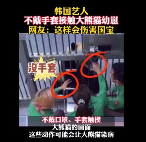 过气韩女团综艺爆料视频,综艺爆料视频曝光惊人内幕  第3张