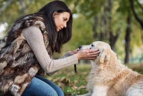 女人与狗在线观看,情感交织的温馨故事  第2张
