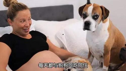 女人与狗在线观看,情感交织的温馨故事  第3张
