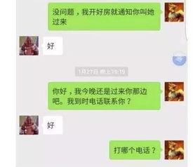 新闻爆料 搞笑段子,段子手带你领略幽默瞬间  第3张