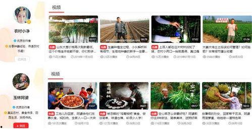 搜索爆料三农的视频,探寻农村发展新篇章  第2张