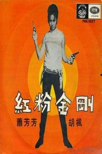 红粉金刚在线观看,在线观影，激情燃烧的岁月  第3张