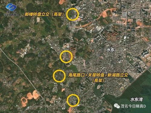 茂名最新爆料,揭秘背后惊人真相  第2张