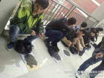 鹰潭卫校爆料事件视频,真相与争议交织 第3张 鹰潭卫校爆料事件视频,真相与争议交织 第3张