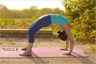 功夫瑜伽免费在线观看,免费畅享国风武侠之旅