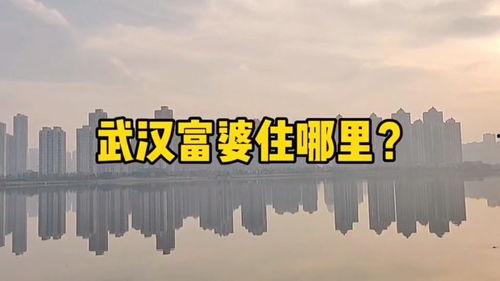 浙江楼市爆料网最新动态,揭秘热点区域房价走势与政策动向