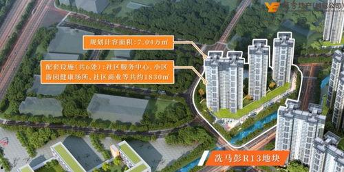 碧桂园爆料最新消息洪雅