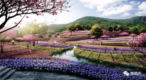 南充桃李春风最新爆料,揭秘项目最新进展与亮点