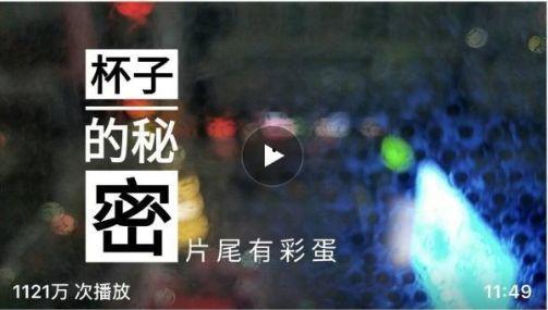 止水全新爆料视频大全集,揭秘幕后真相与精彩瞬间 第2张 止水全新爆料视频大全集,揭秘幕后真相与精彩瞬间 第2张