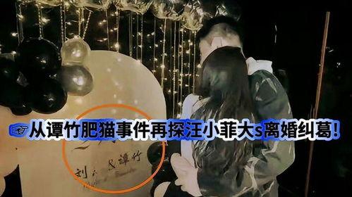 肥猫事件爆料视频,揭秘网络爆料的惊人真相 第2张 肥猫事件爆料视频,揭秘网络爆料的惊人真相 第2张