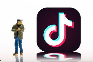 抖音小鱼干爆料视频在哪里看,揭秘抖音小鱼干爆料视频观看攻略