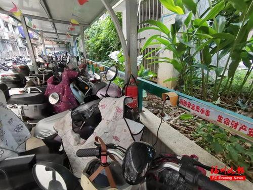 福建电动车事件最新爆料,真相再起波澜，事故原因揭秘