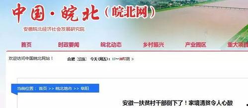 界首市新闻爆料网站官网 第3张 界首市新闻爆料网站官网 第3张