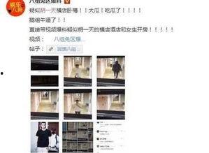 全国黑料爆料视频最新,揭秘不为人知的背后真相