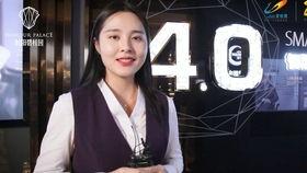 碧桂园爆料音乐视频,梦幻家园的旋律之旅