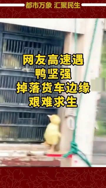 鸭货最新爆料新闻,揭秘行业背后惊人真相 第3张 鸭货最新爆料新闻,揭秘行业背后惊人真相 第3张