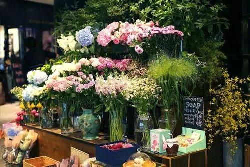 花店吃瓜视频下载免费,免费下载，揭秘花店日常趣味瞬间