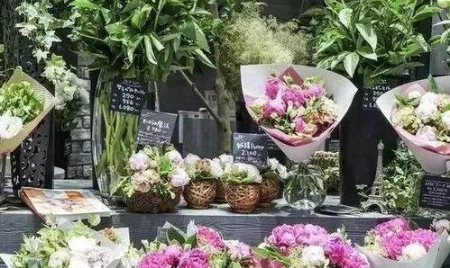 花店吃瓜视频下载免费,免费下载,揭秘花店日常趣味瞬间 第3张 花店吃瓜视频下载免费,免费下载,揭秘花店日常趣味瞬间 第3张