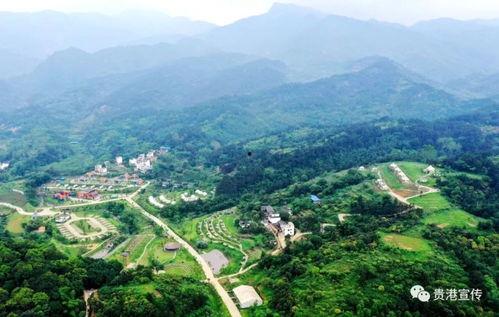 贵港桂平爆料最新消息,揭秘贵港神秘事件真相 第2张 贵港桂平爆料最新消息,揭秘贵港神秘事件真相 第2张