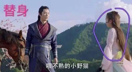 替身演员爆料是谁啊视频,揭秘幕后的真实故事