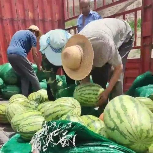 盐城网红吃瓜群众视频,揭秘当地美食与趣闻