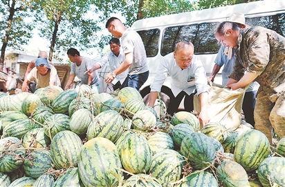 大城县吃瓜最新事件爆料,揭秘背后惊人真相 第3张 大城县吃瓜最新事件爆料,揭秘背后惊人真相 第3张