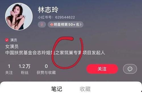 台媒爆料视频完整版,视频完整版事件内幕曝光