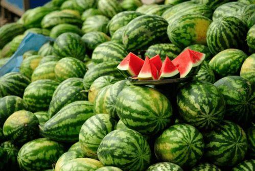 20年网红吃瓜总结