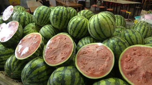 20年网红吃瓜总结  第2张