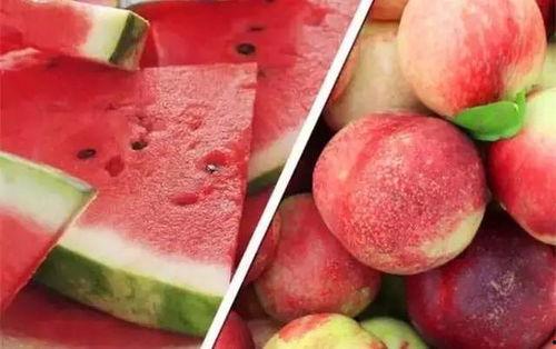 20年网红吃瓜总结  第3张