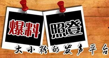 大渝网新闻爆料台,聚焦社会热点，揭示事件真相