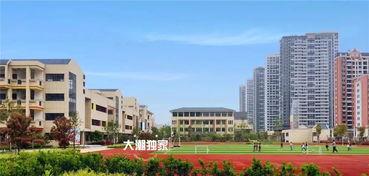 怀化学院爆料事件最新进展,真相逐步浮出水面