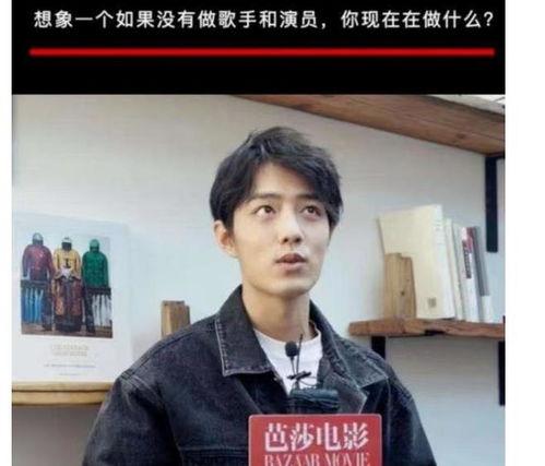 肖战粉丝娱乐爆料视频,揭秘明星幕后生活  第2张