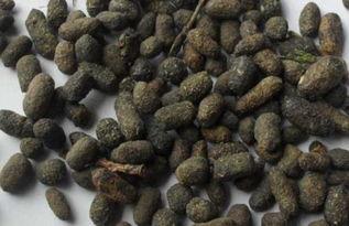 石家庄爆料老鼠屎事件最新,食品安全问题再敲警钟  第2张