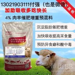 爆料新疆羊喂饲料视频,饲料喂养背后的真相