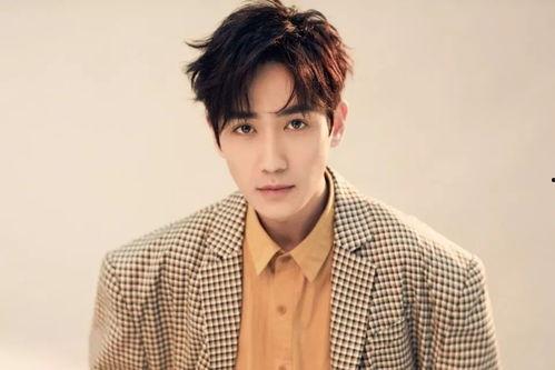 内鬼舅舅的爆料视频大全,揭秘幕后的惊人真相